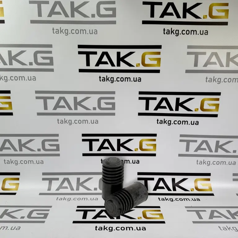 1500496-00-B: Буфер крышки багажника - Фото 1 | TAK.G 1500496-00-B: Буфер крышки багажника - Фото 1