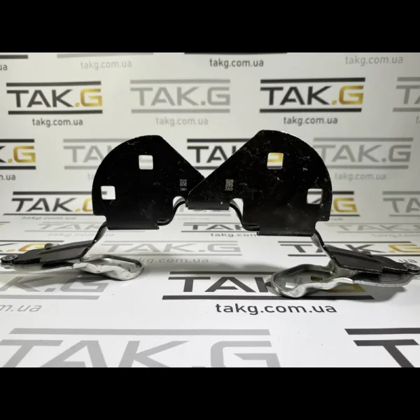 1643845-00-A: Петля капота ліва - Фото 1