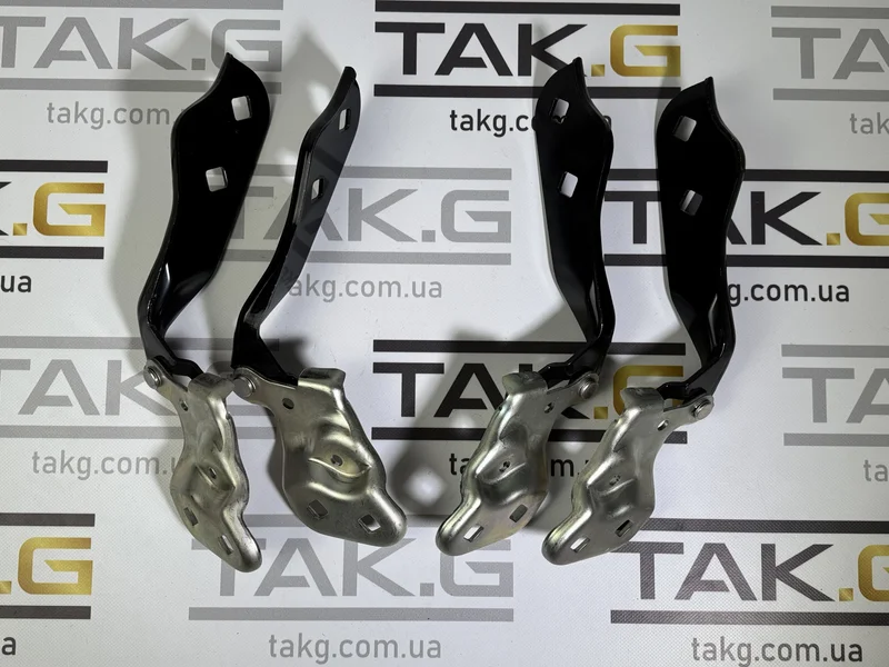 1098792-00-D: Петля капота ліва - Фото 1