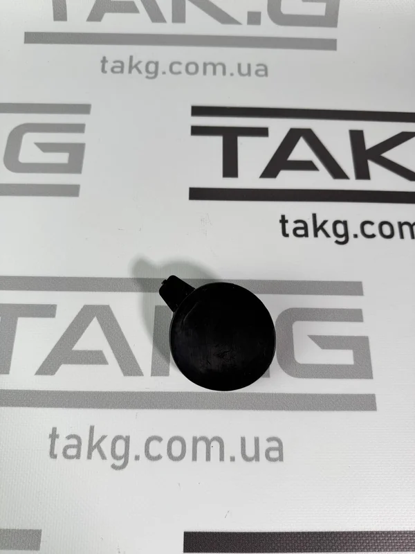 1493746-00-A: Заглушка гачка переднього бампера без фарбування - Фото 1