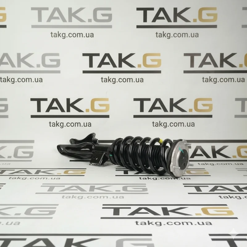 1188368-00-E: Амортизатор передній правий - Фото 1