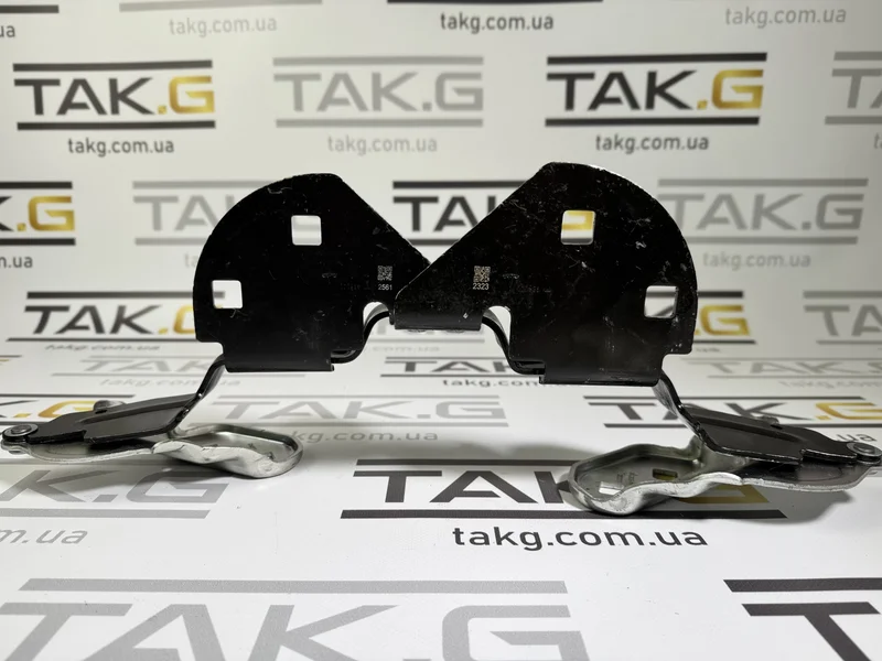 1643845-00-A: Петля капота ліва - Фото 1